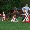 agility 2011-04